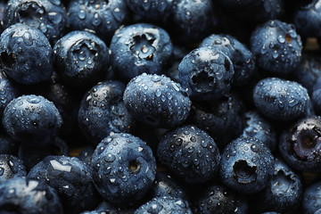 Ripe blueberries, closeup