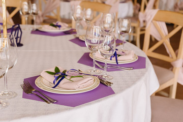 Beautiful white plate and fabric napkin with a greens branch.