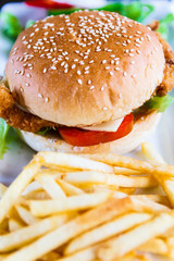 Cheese burger with fries.