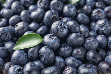 Ripe blueberries, closeup