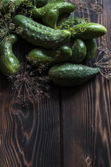 Fresh green cucumber with flowering dill on a wooden background