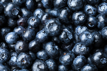 Ripe blueberries as background