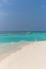 Fototapeta na wymiar Beautiful turquoise sea on a cloud day in Maldives