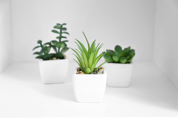 Different plants in pots on white shelf