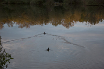 Am See