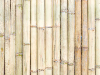 bamboo fence texture background