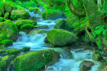 木谷沢渓流（鳥取県 日野郡江府町）