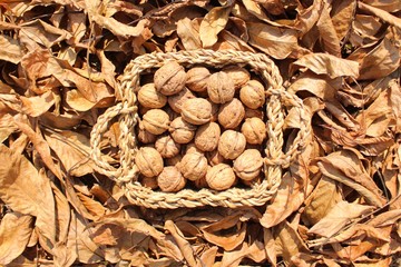 Walnüsse in einem Körbchen und Walnussblätter