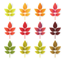 Colorful autumn leaves set isolated on white background. Paper cut 3d flat style, vector illustration