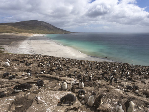 View Of The Neck On Saunders Island