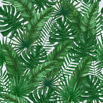 Tropical leaves seamless pattern. Jungle green background.