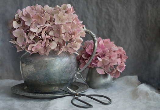 Vintage style photograph of dried pink hydrangea in pewter pitchers on gray