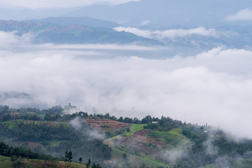 Misty Mountains with rice terrace at Chiang mai, Thailand