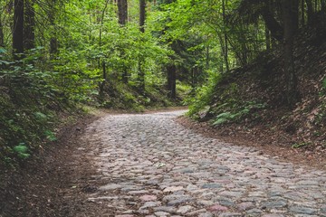 Old cobblestone road and corner in deep forest