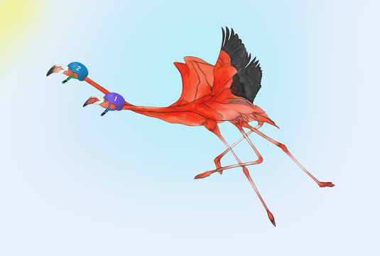 Zwei flegenede flamingos auf blauen hintergrund.