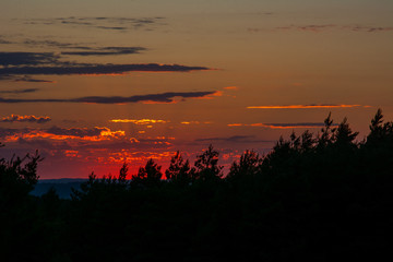Obraz premium Red Sun Setting Behind a Forest