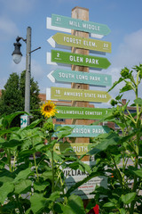 Street sign during the day with sunflowers in Williamsville NY
