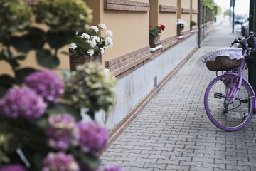 Fototapeta na wymiar a street with flowers and an old decorative pink bicycle