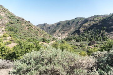 Fototapeta na wymiar Wandern im Tal Barranco de Guayadeque Gran Canaria