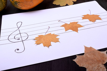 Little dry maple leaves on music staff. Autumn composition