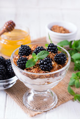 Delicious muesli dessert with blueberry. Healthy food