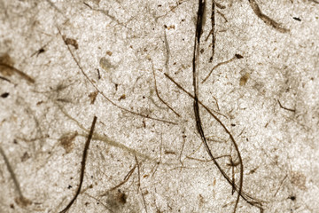 recycled abstract nature paper background
