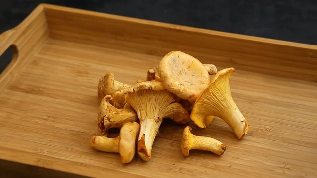 Chanterelle mushrooms in a wicker basket, Rotation 360.