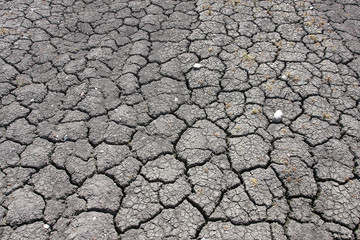 Dried earth