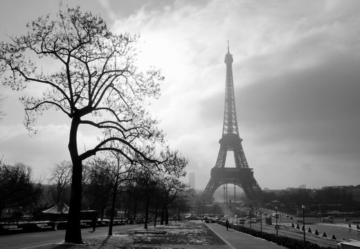 near the Eiffel Tower on the autumn day.. Paris
