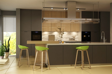 Modern kitchen interior
