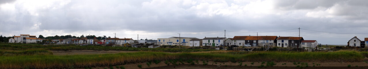 Le long de la SEUDRE (Charente Maritime)