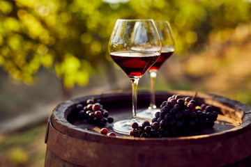Twee glazen rode wijn in de wijngaard