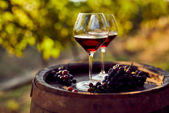 Naklejka Two glasses of red wine in the vineyard