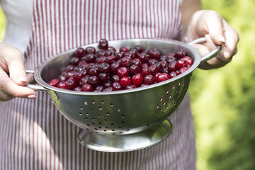 Young woman holding bowl filled  with  red cherries.