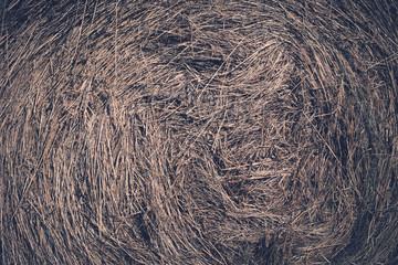 hay stack texture