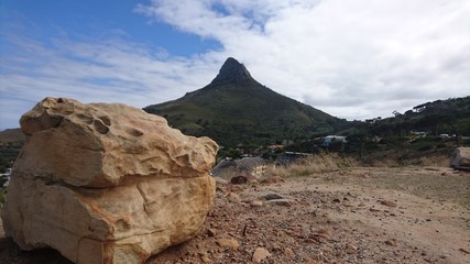 Lions Head from Behind