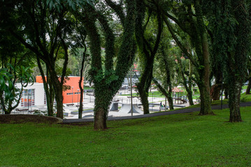 Arvores Parque São Lourenço