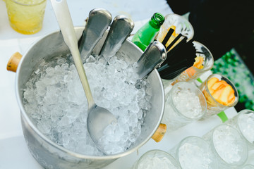 Young people partying making toast with glasses and drinking alcohol.
