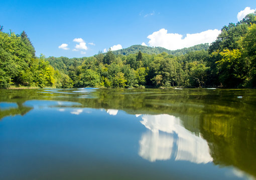 view from the water level with green trees and blue sky with fluffy white clouds serenity scene concept