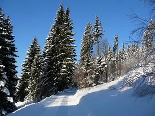 Winter in Krkonose mountains, winter scenery