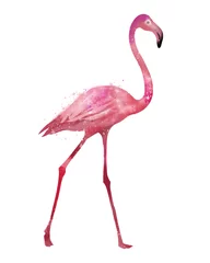 Fotobehang Roze flamingo, aquarel © Евгения Савченко