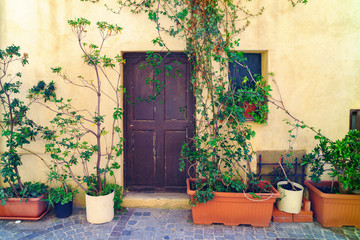 Fototapeta na wymiar Antibes, France (French Riviera, Azure Coast). Traditional classic style medieval vintage facade with brown doors. Green plants in pots near stone wall..