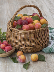 plum from the garden on a wooden background. 