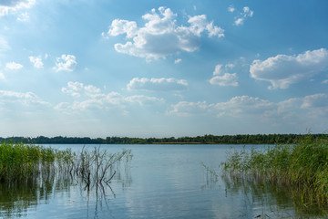Schladitzer See bei Leipzig, wunderschöne sommerliche Seenlandschaft
