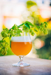 Delicious homebrewed beer, diffferent styles and rich taste