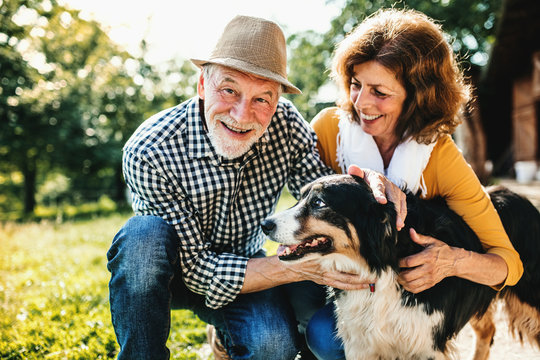 A senior couple crouching and petting a dog.