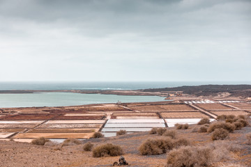 Landscape of salt production structures, Lanzarote, Spain - 219997417