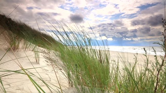 Morze Bałtyckie, wiatr porusza trawami na eydmie