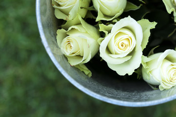 Beautiful wedding rose 
