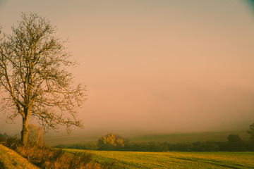 Fototapeta na wymiar Country field landscape on autumn day